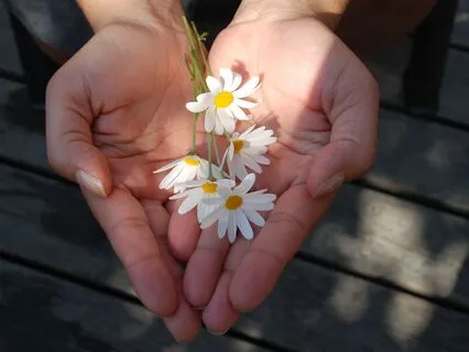 Lovingkindness Meditation For Those Who Give