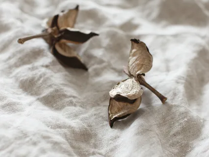 Lovingkindness Meditation (MBSR) | 20"