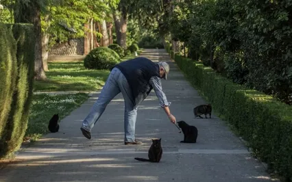 Lovingkindness Towards Loved One & Self