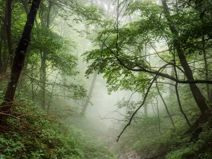 Lovingly Inclined Towards All