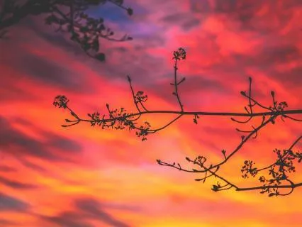 Low Mood Healing Meditation