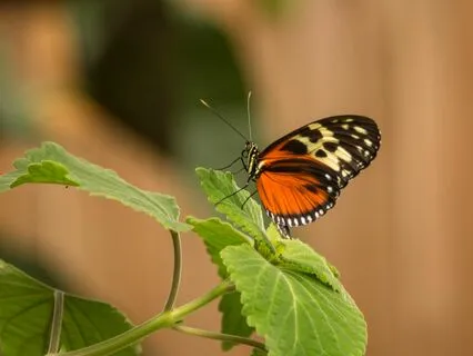 Lower Anxiety In 5 Minutes!