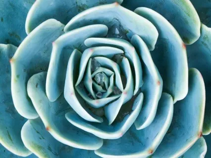 Lower Chakra Affirmation Meditation