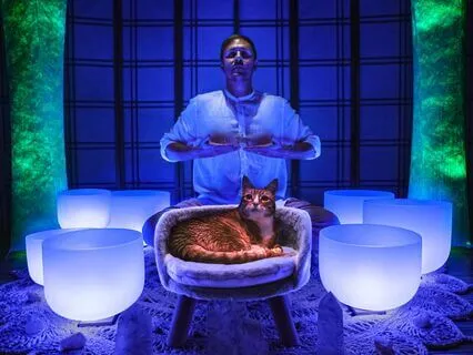 Lower Your Cortisol Sound Bath