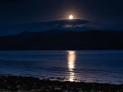 Lower Your Heart Rate | Fall Asleep Gently | 60 minutes