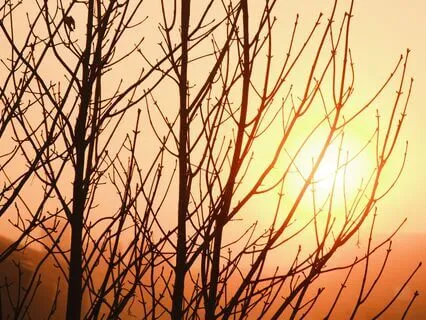 Loyal To Yourself- Morning Meditation