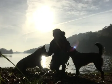 Loyalty (Solo Piano)