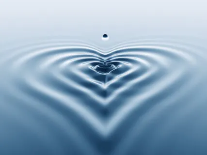 Lucenscia Insights: Discovery Through Transformation Quadrants