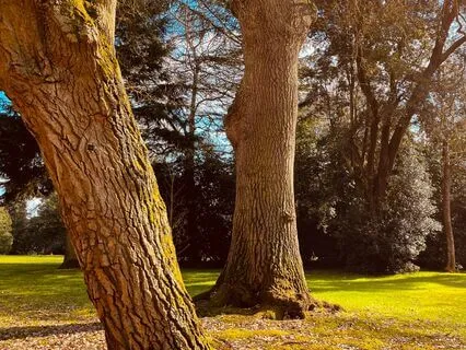 Lucid Dreaming Guided Flying Journey