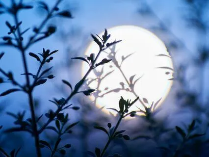 Lucid Dreaming Sleep Guided Meditation