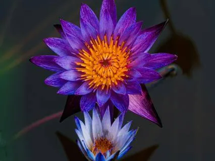 Lucid Dreaming Sleep Meditation (9 Hours)