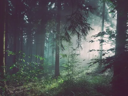 Lucid Dreaming Visualization