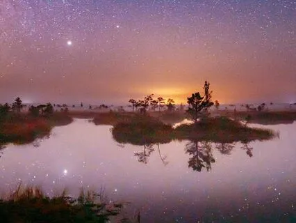 Lucid Dreams, Manifest Your Dream Reality