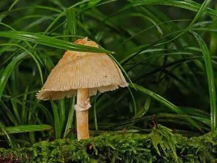 Lucid Gateway: 2 Hours Of Reality Shifting Music