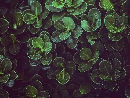 Lucid Horizons - 20 Hz Beta Wave Binaural Beats