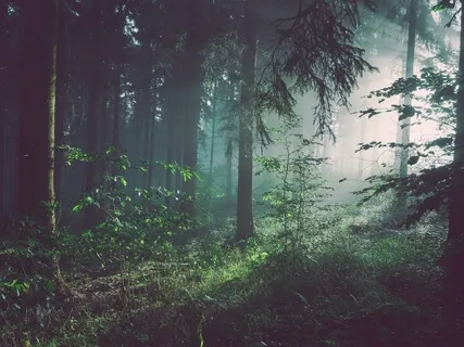 Lucid Nature (Trillion Remix)