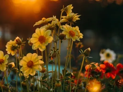 Lucky Era Meditation