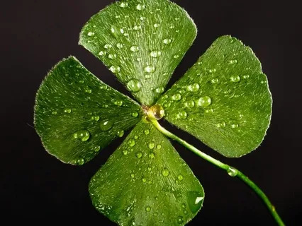 Lucky Person Rant With Music For Manifesting  Abundance