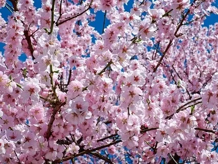 Lucky To Be Alive - Thoughts For Reflection