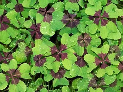 Lucky Us: An Exercise To Realize The Always Potential