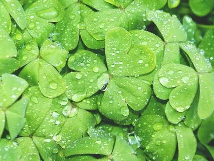 Lucky You! - Weekly Energy Boost