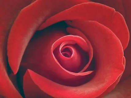 Lucenscia Insights: Creating Our Body Map-Mental Map With Love