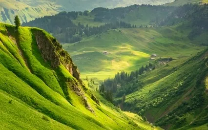 Lugar de Paz, Amor e Segurança