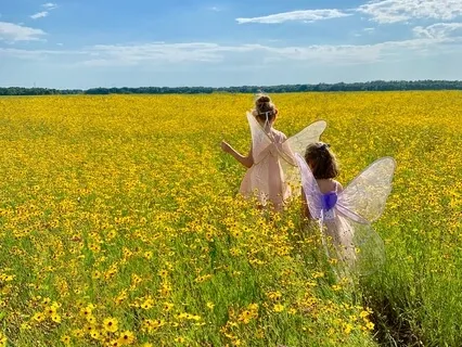 Lughnasadh Special: Celtic Gods And Fairies