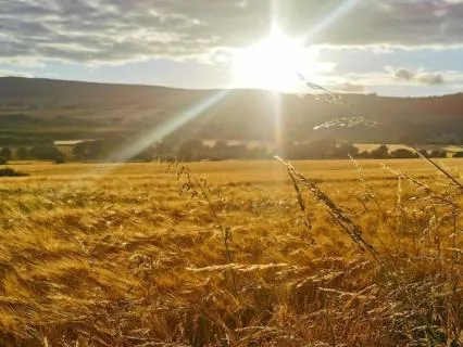 Lughnasadh Yoga Nidra
