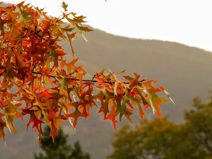 Lugnande Utandning: Meditation Med Ett Nytt Positivt Minne