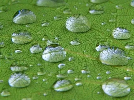 Lühike hingetõmbepaus