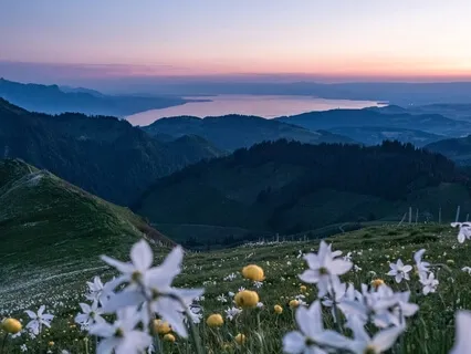 Луиза Хей: 101 мысль, Несущая Силу (I)