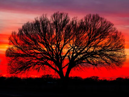 Lectio Divina: John 14:27 (Peace)