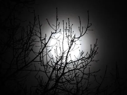 Lullaby: 8-Hour Extended Version