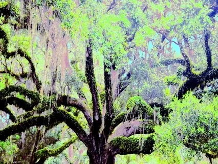 Lullaby For An Old Soul (Long Version)