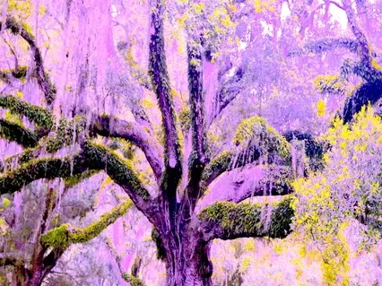 Lullaby For An Old Soul