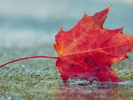 Lullaby Of The Rain - Sleeping Under The Sound Of Rain
