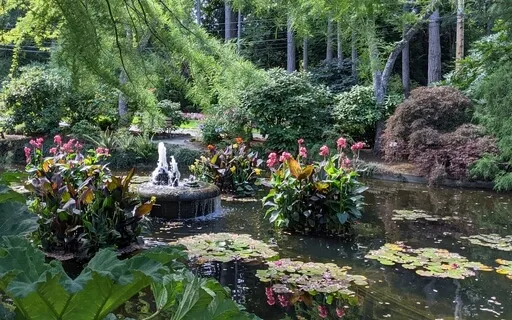 Lulled By Spring - Poem