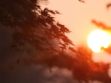 Luminescence (Ambience For Focus, Anxiety & Sleep)