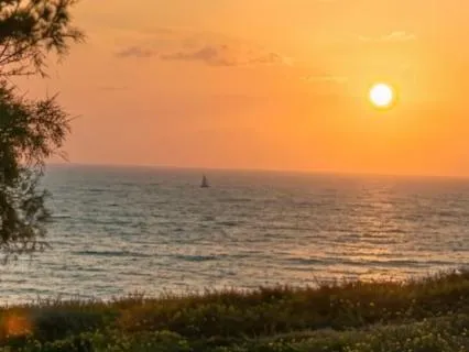 Luminous Grounding: Guitar & Bass For Inner Stillness