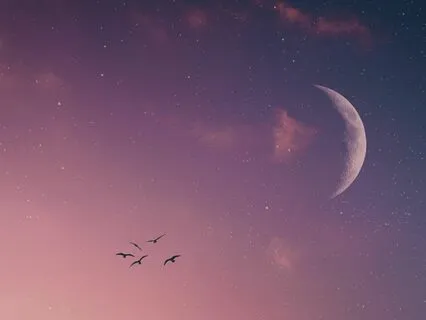 Lunar Beauty of the Night Moon