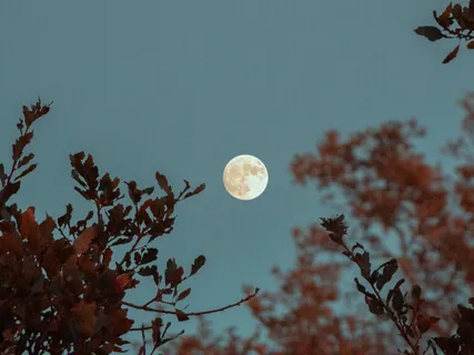 Lunar Eclipse: Clear Vision