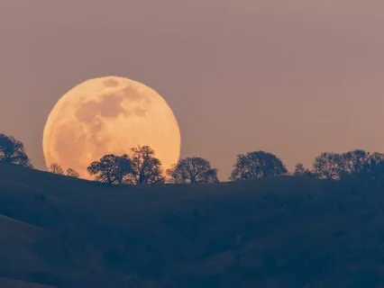 Lunar Moon: Sleep Calmly