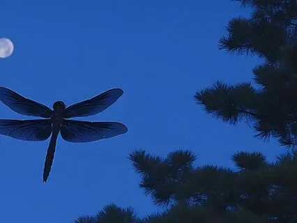 Lunar Sleep Meditation For Miracles And Activation