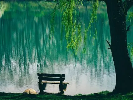 Lunch Break Meditation