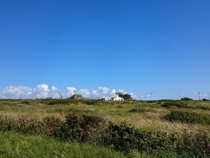 Lunchtime 'Check In' Meditation