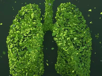 Lung Function Energy Meditation ~ Aries