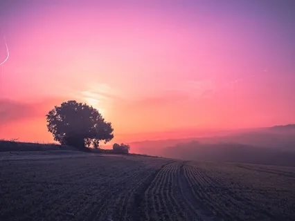 落ち着いてます