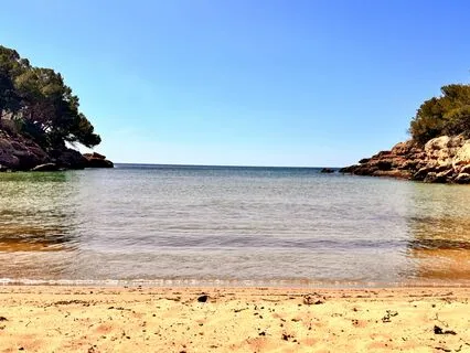 Luxury VIP Lifestyle Affirmations