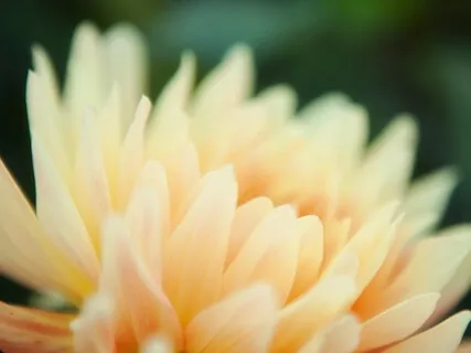 Lyhyt ja helppo hengitys